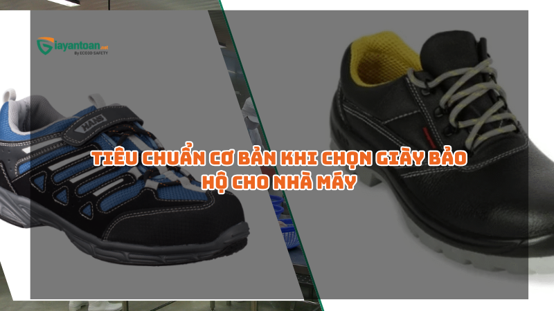 Tiêu chuẩn vàng khi lựa chọn giày bảo hộ cho môi trường nhà máy